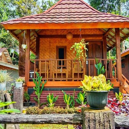 Pondok Rinjani Bungalow 特特巴图 外观 照片