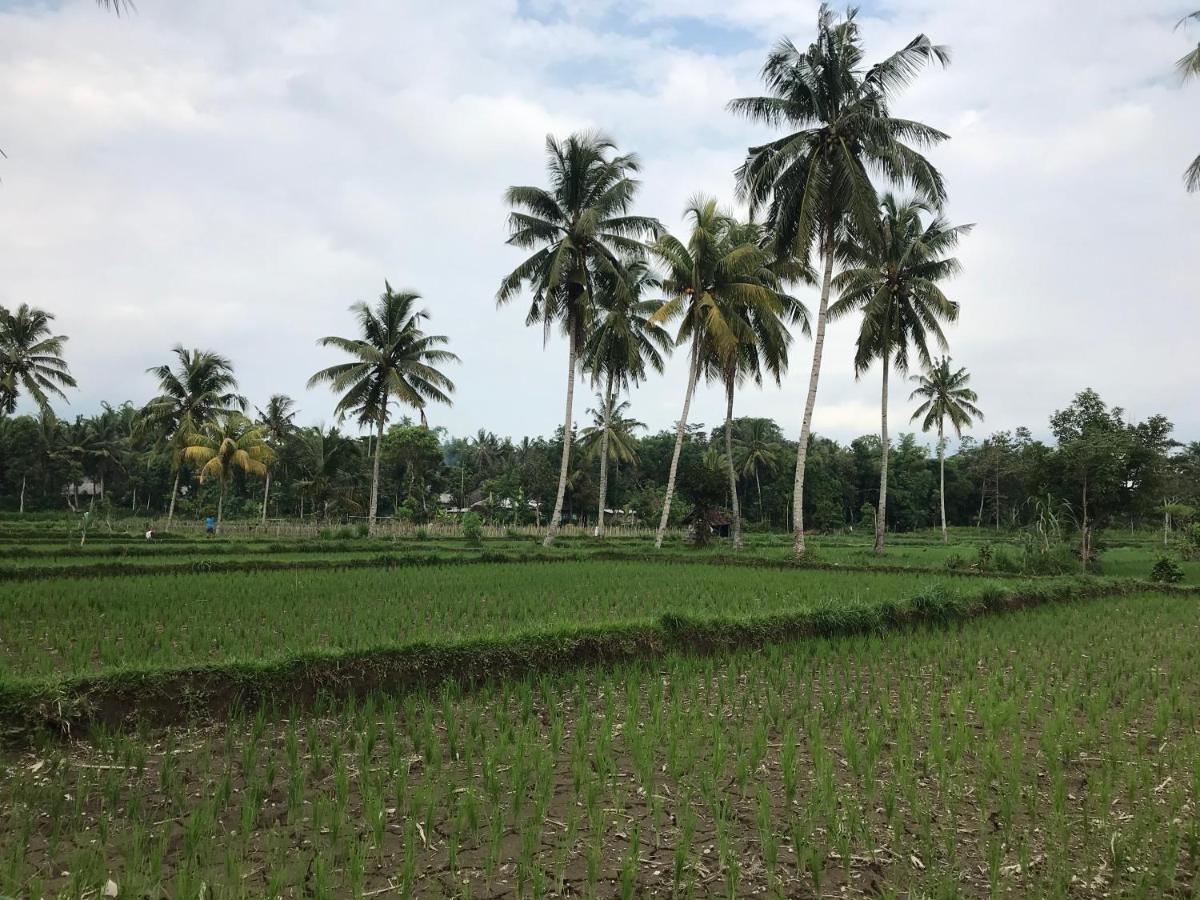 Pondok Rinjani Bungalow 特特巴图 外观 照片