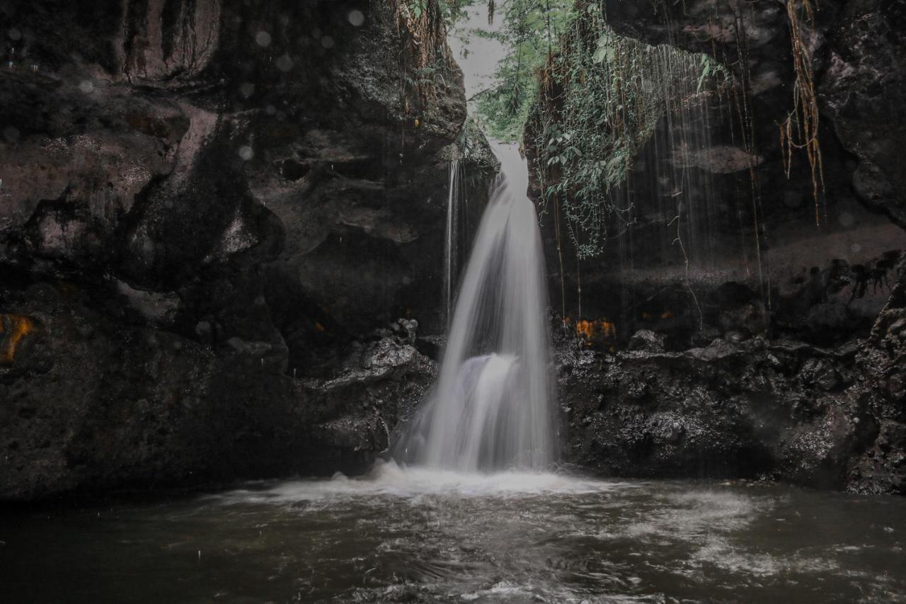 Pondok Rinjani Bungalow 特特巴图 外观 照片