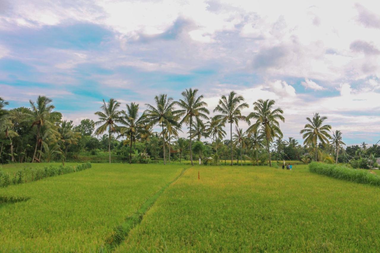 Pondok Rinjani Bungalow 特特巴图 外观 照片