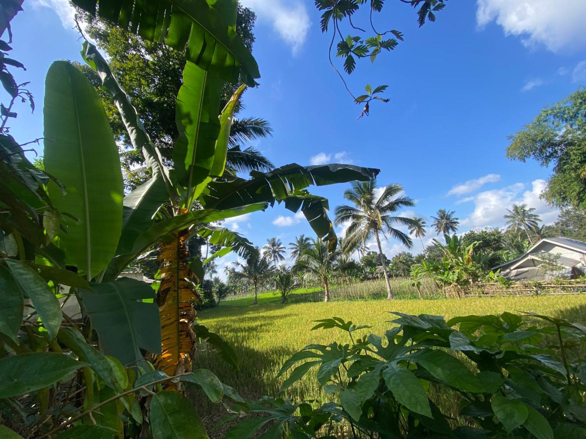 Pondok Rinjani Bungalow 特特巴图 外观 照片